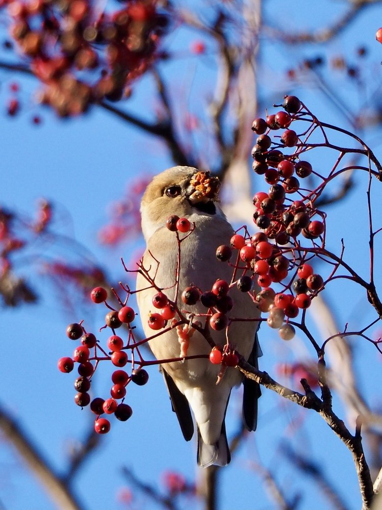 Photograph by Юлия Поршнева