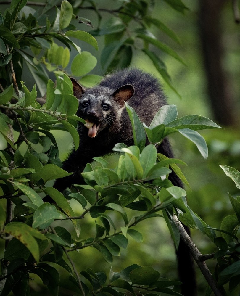 Photograph by USAIDUDDIN QUAZI