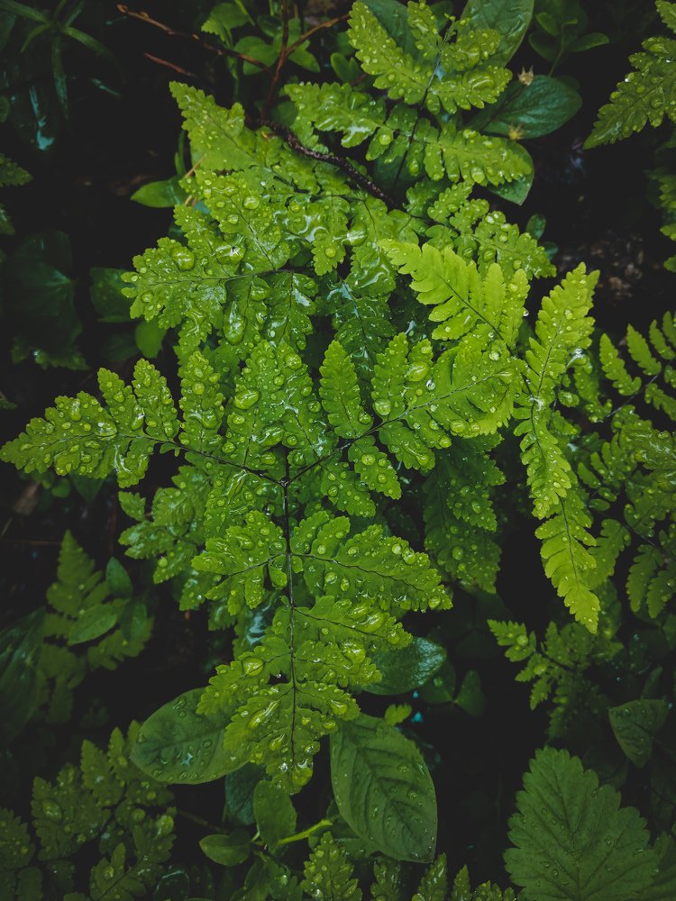 Photograph by Олеся Гейко