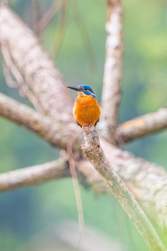Photograph by Methum Kumarasinghe