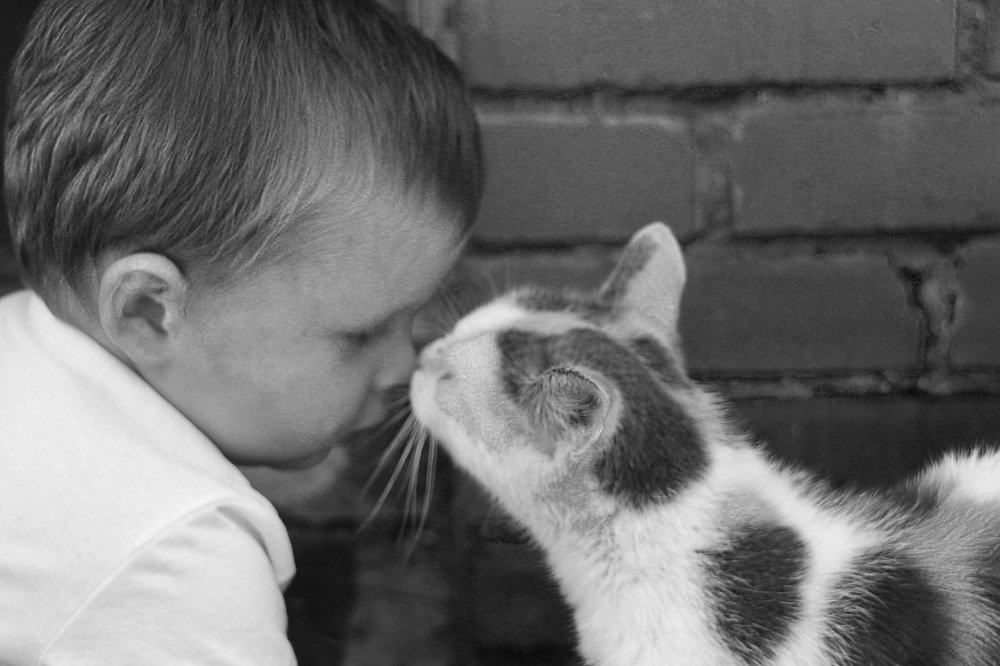 Photograph by Алена Кузнецова