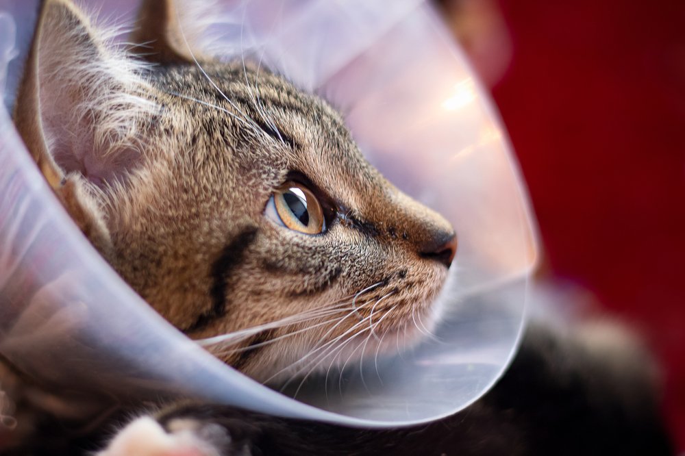 Photograph by Оксана Казакова