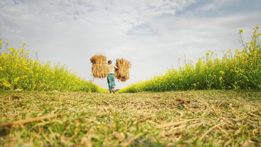 Photograph by Shahadat Hossain