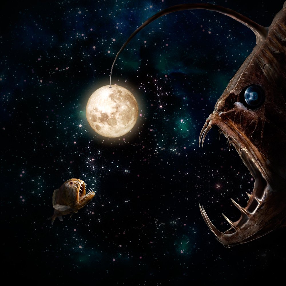 Охота на живца