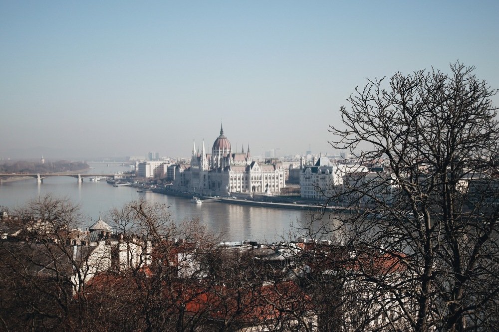 Photograph by Дарья