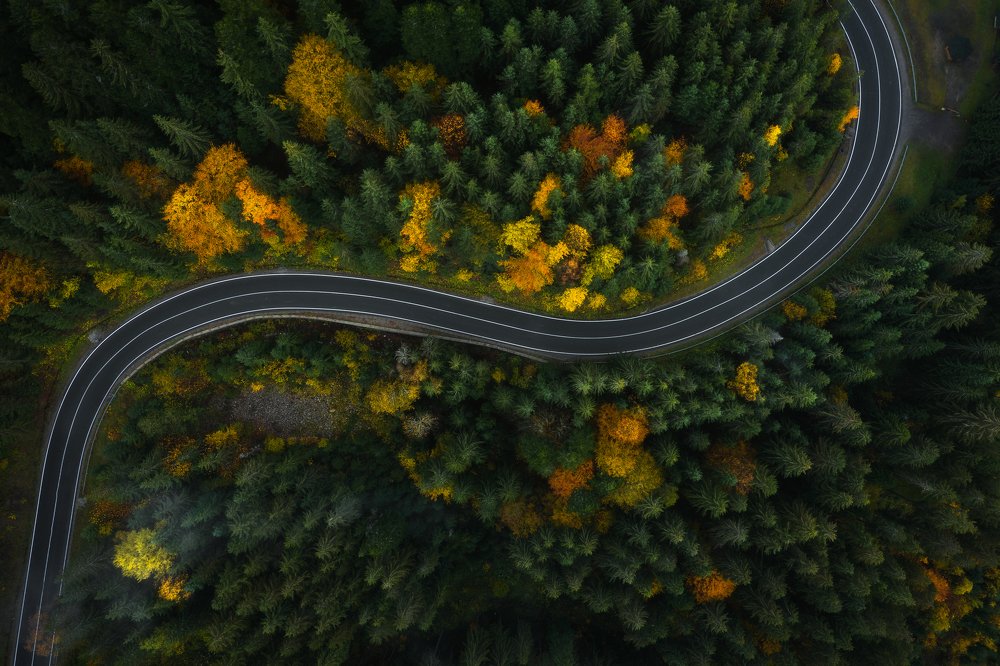 Photograph by Алексей Бойко