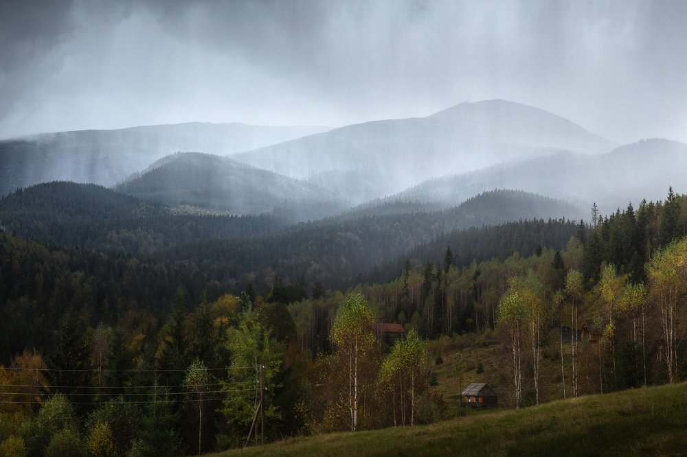 Photograph by Алексей Бойко