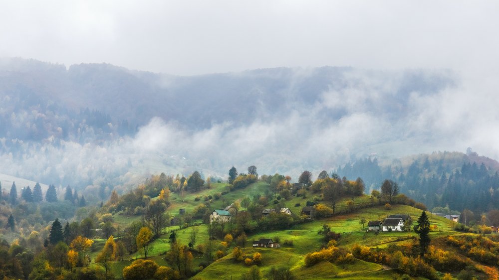 Photograph by Алексей Бойко