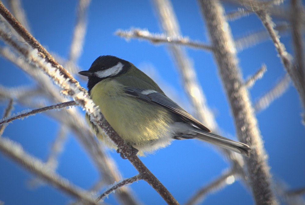 Photograph by Риф