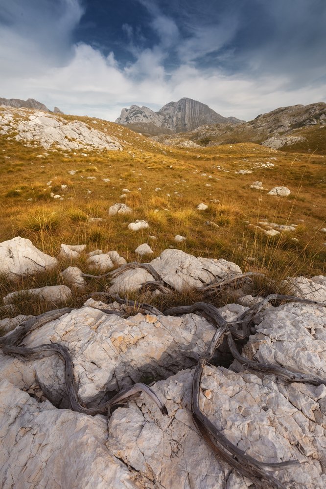 Photograph by Алексей Бойко