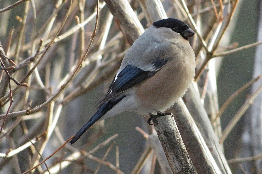 Photograph by Татьяна