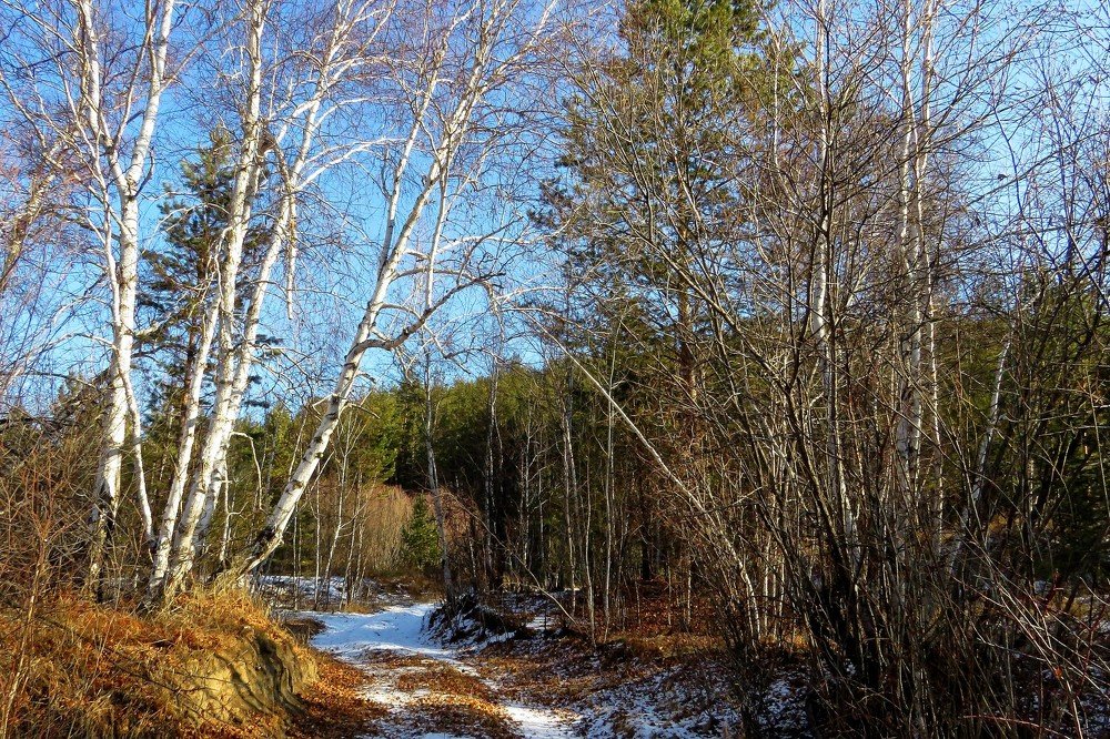 Photograph by Татьяна