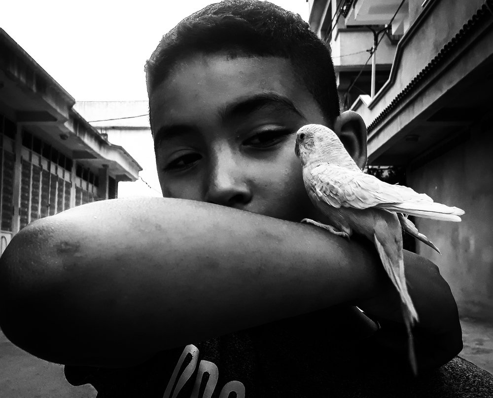 Photograph by Rachid Ayadi