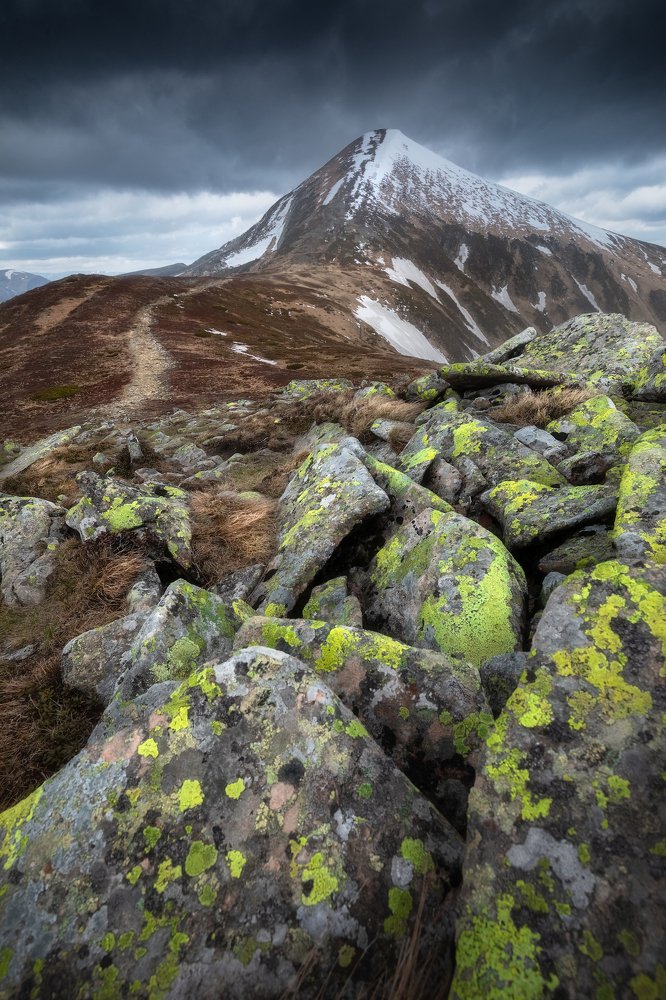 Photograph by Алексей Бойко