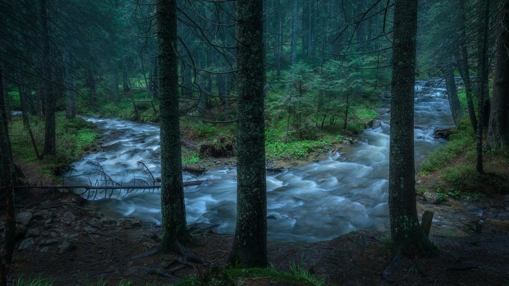 Photograph by Алексей Бойко