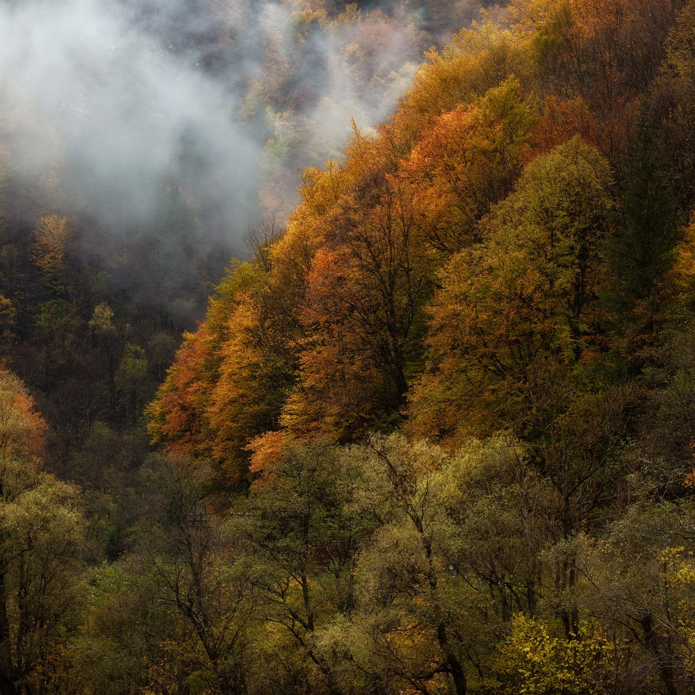 Photograph by Алексей Бойко