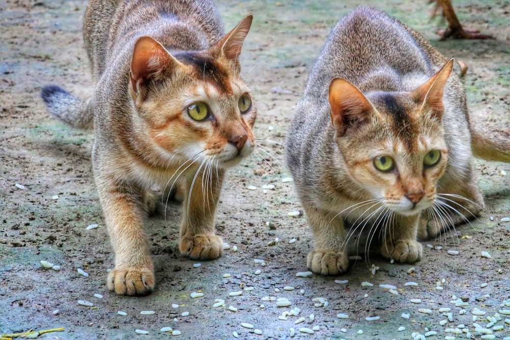 Photograph by Masum Mr