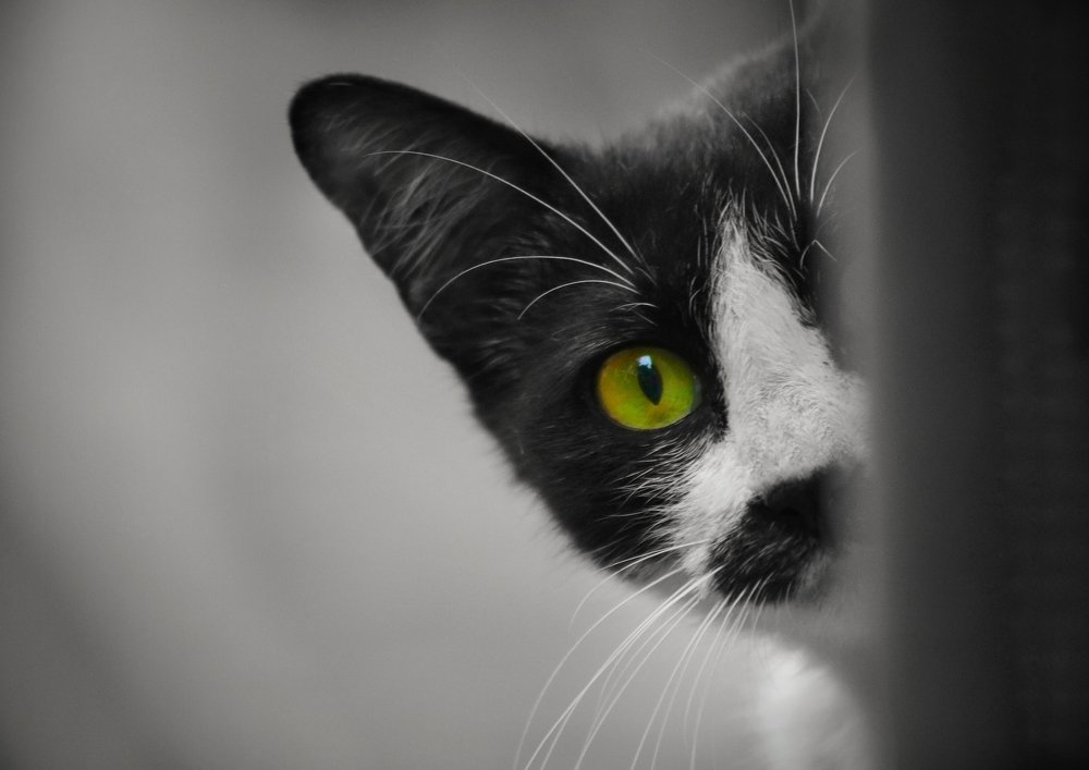 Photograph by Masum Mr