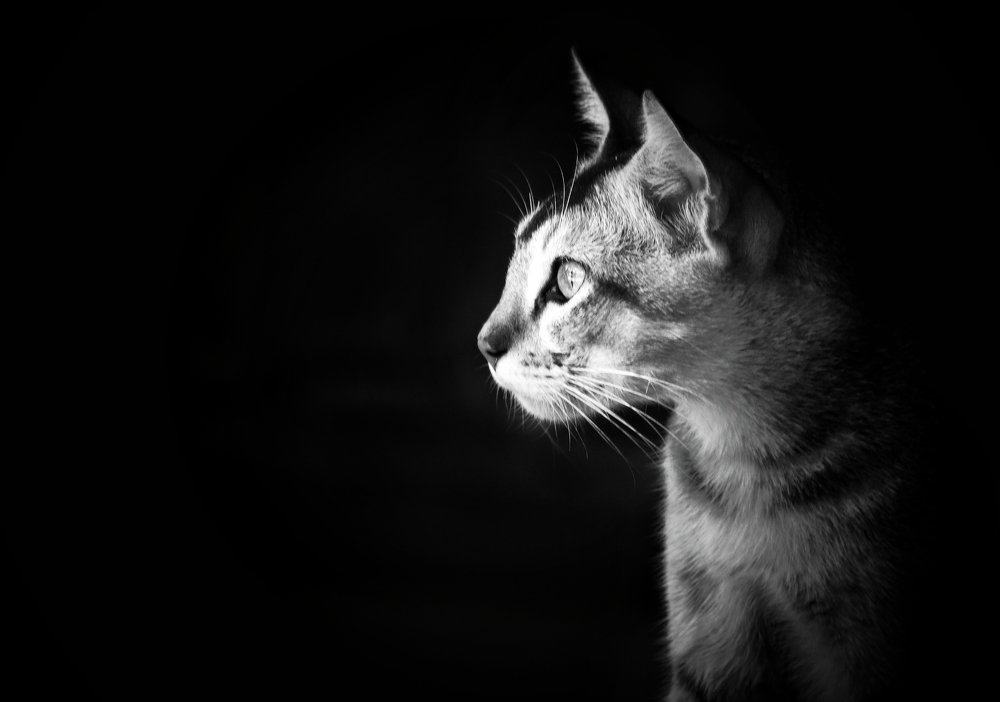 Photograph by Masum Mr