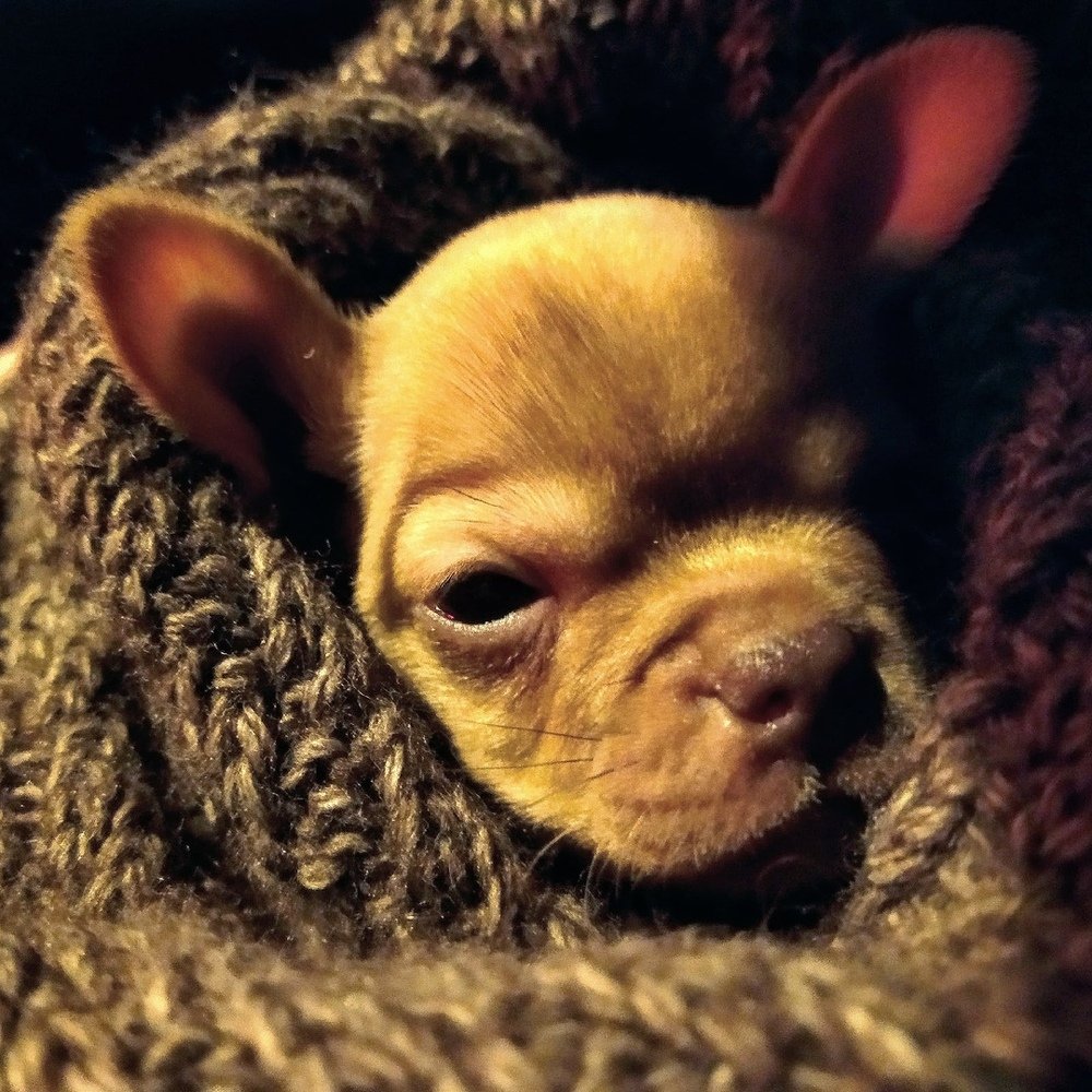 Photograph by Дмитрий Захаров