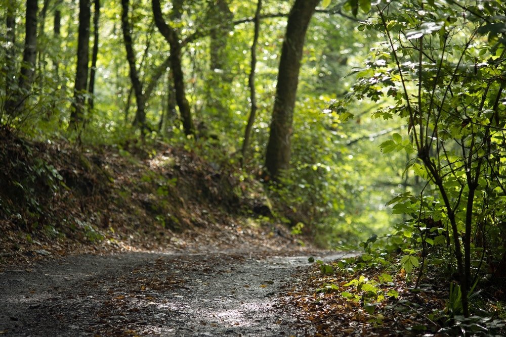 Photograph by Дмитрий Захаров