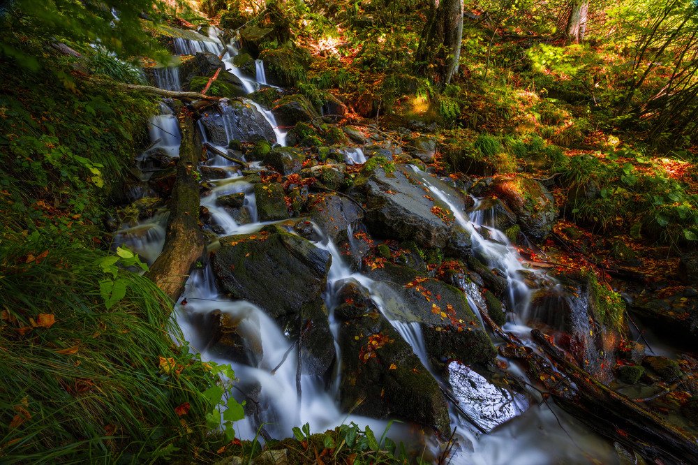 Photograph by ОЛЬГА КОВАЛЁВА