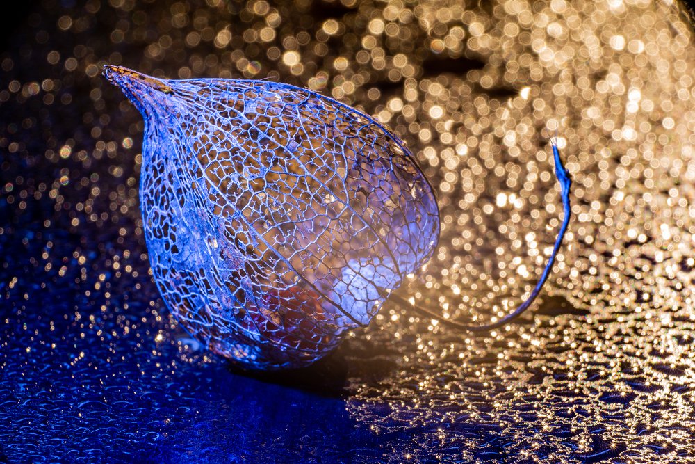 Photograph by Олег Малаев