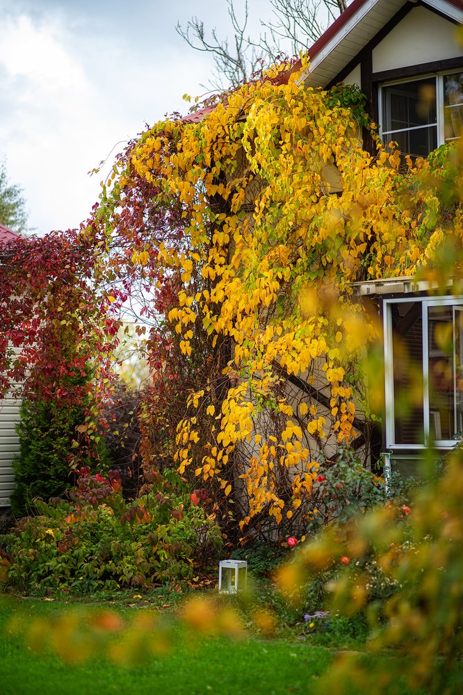 Photograph by Екатерина Москаленко