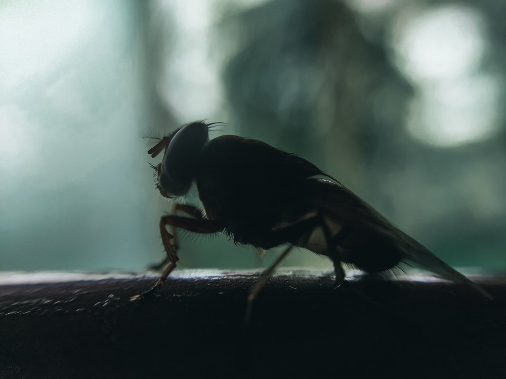 Photograph by Anik Mistry