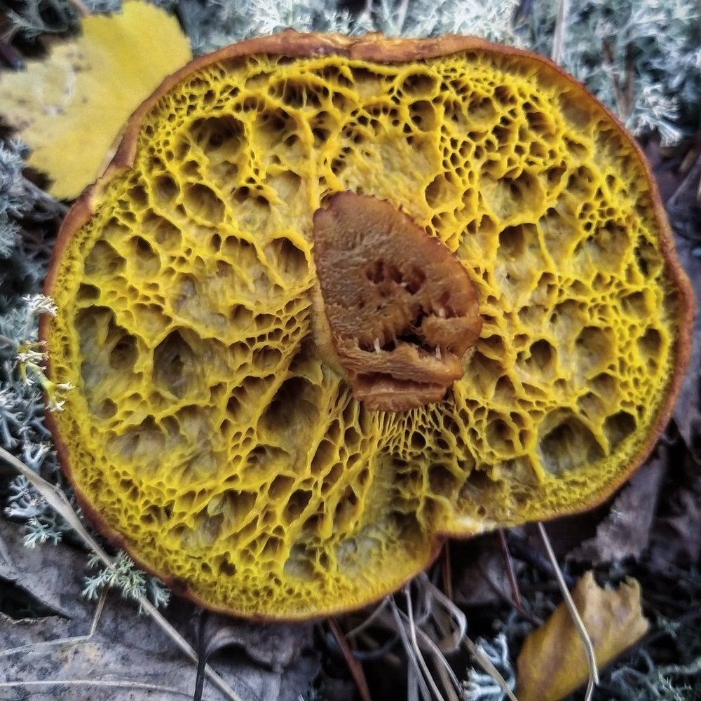 Photograph by Дмитрий Захаров