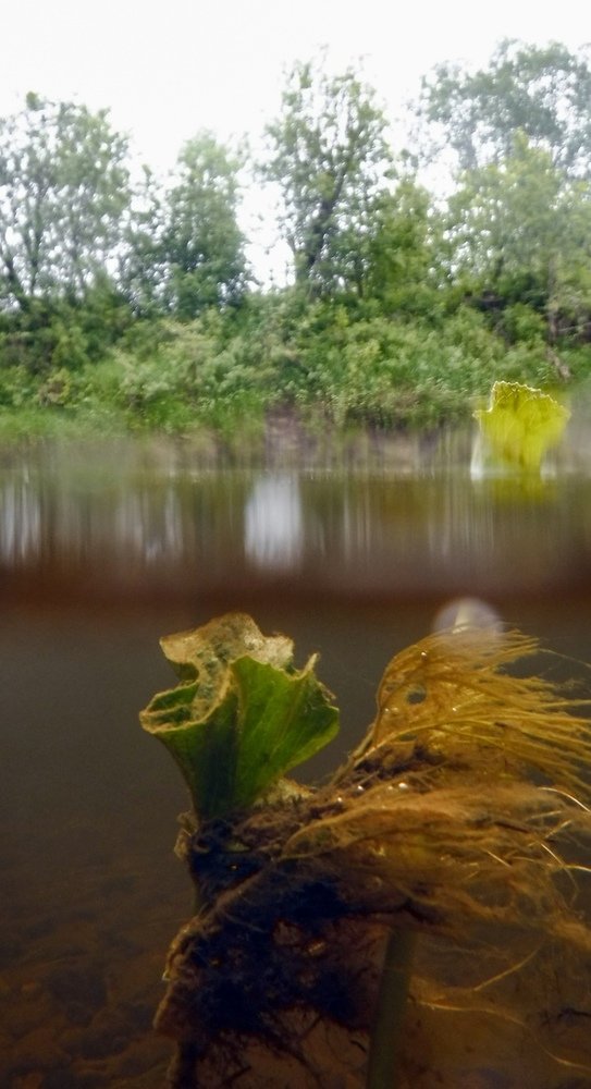 Photograph by Дмитрий Захаров