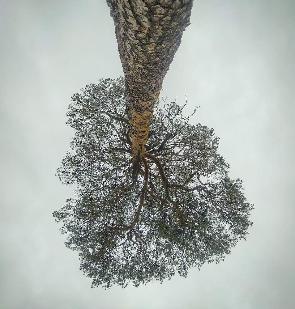 Photograph by Дмитрий Захаров