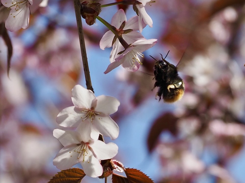 Photograph by Юлия Поршнева