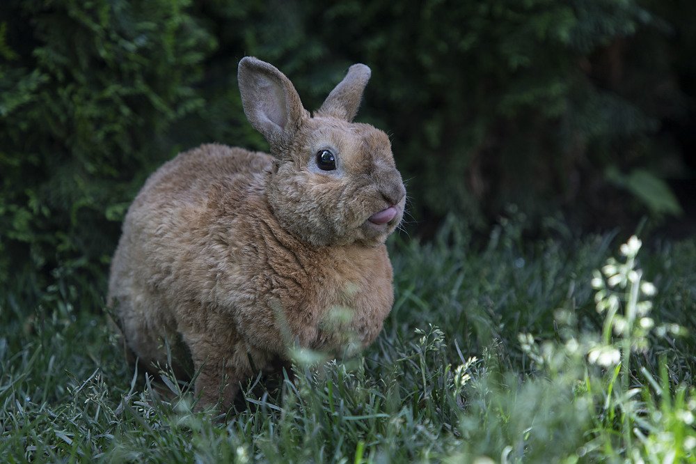 Photograph by Екатерина Вивюрская