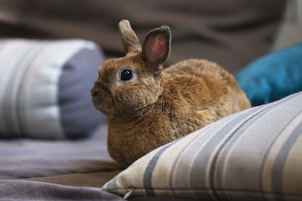 Photograph by Екатерина Вивюрская