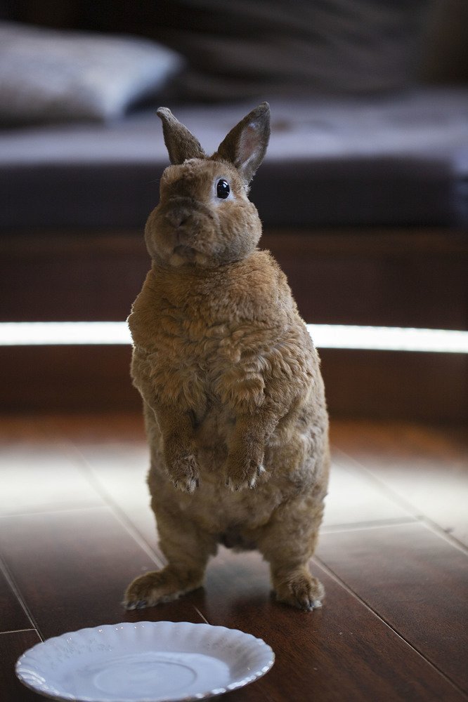 Photograph by Екатерина Вивюрская