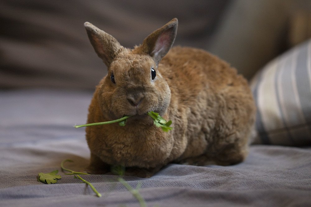 Photograph by Екатерина Вивюрская