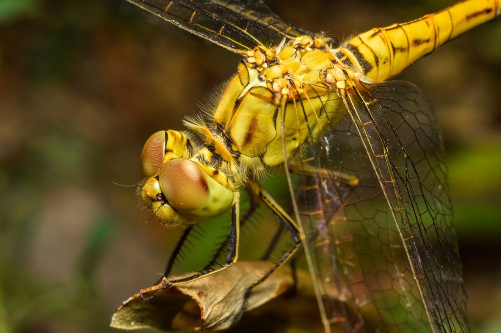 Photograph by Анастасия Киселева