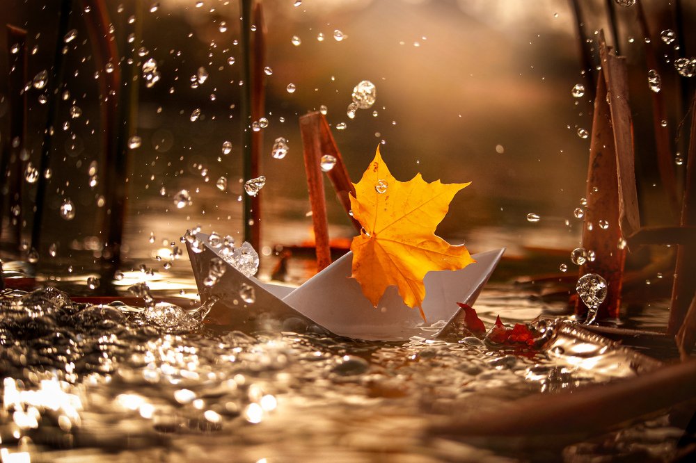 Осень, в небе жгут корабли.../Autumn, ships are burnt in the sky