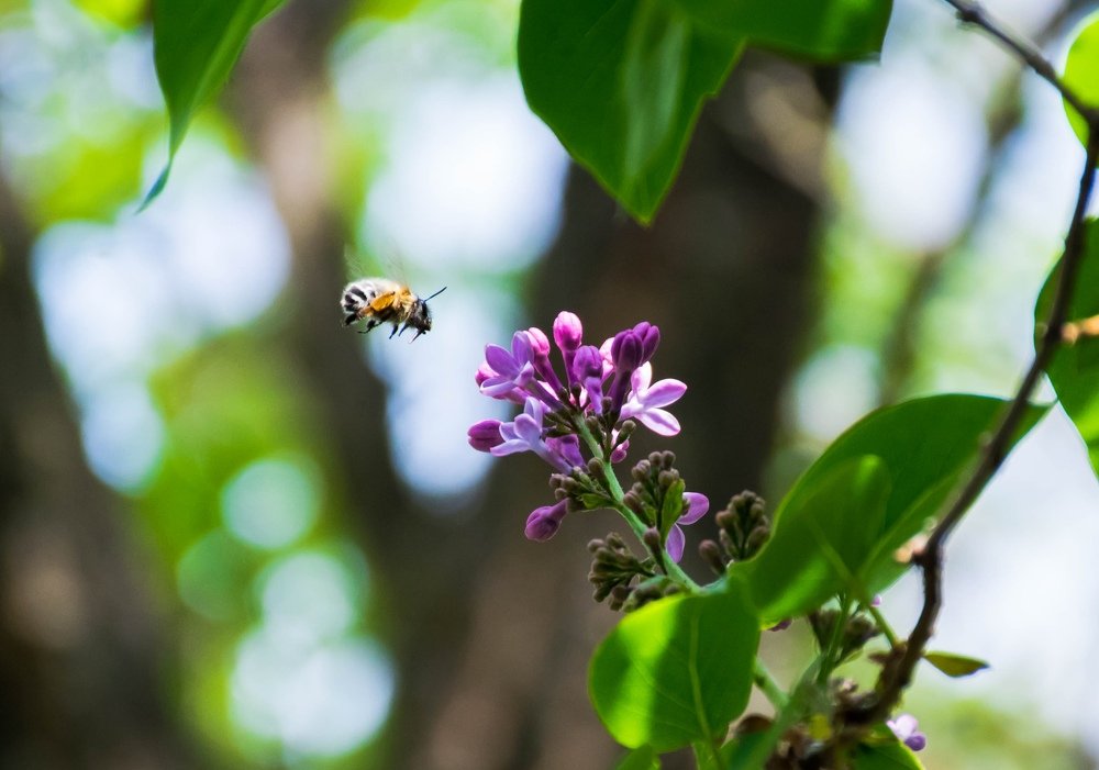 Photograph by Анастасия Киселева