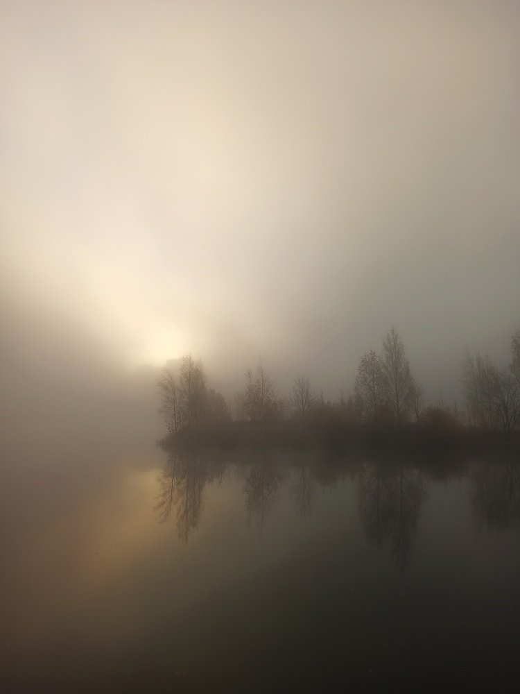 In a dream