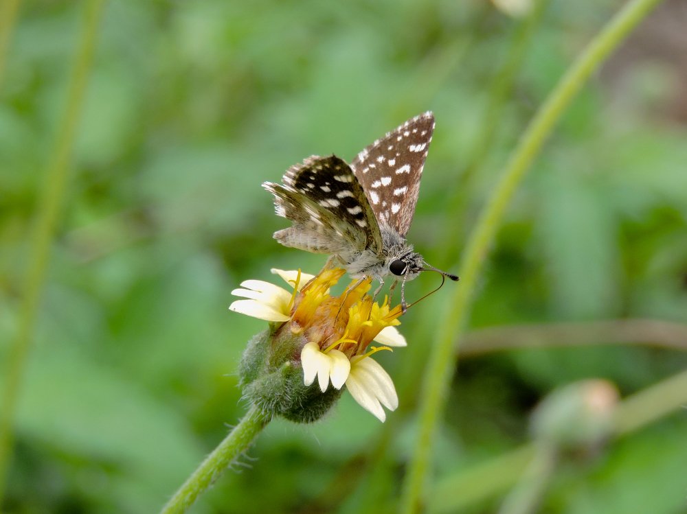 Photograph by Govindraj Kamareddy