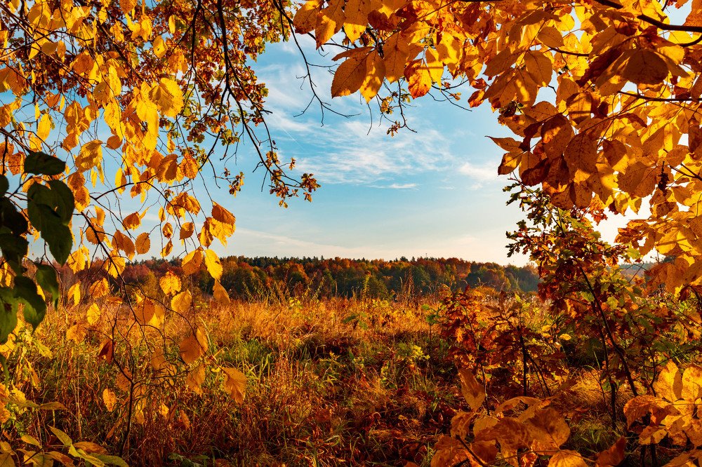 Photograph by Сергей Кочетов