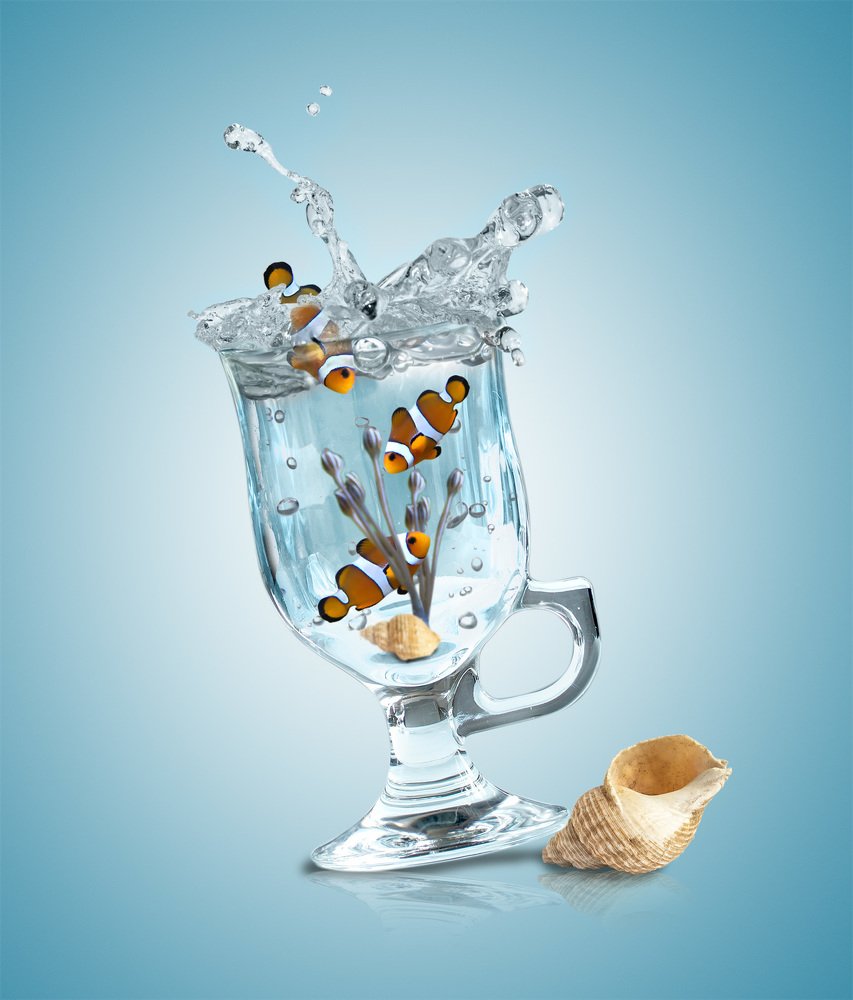 Photograph by Galina Samoylovich