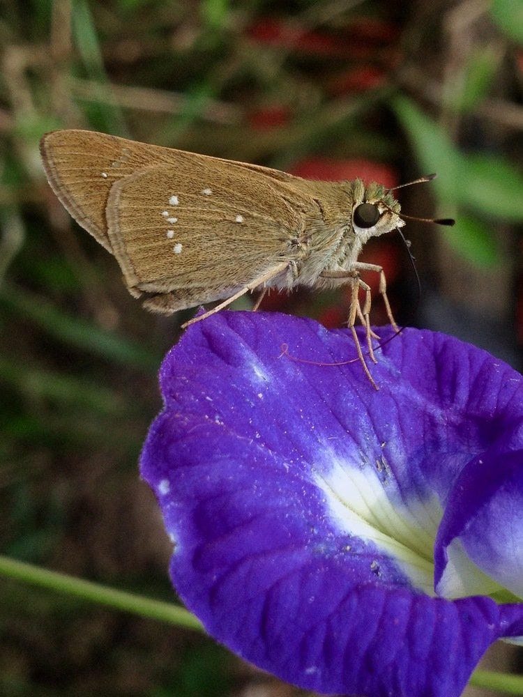 Фотография автора Abir Duley