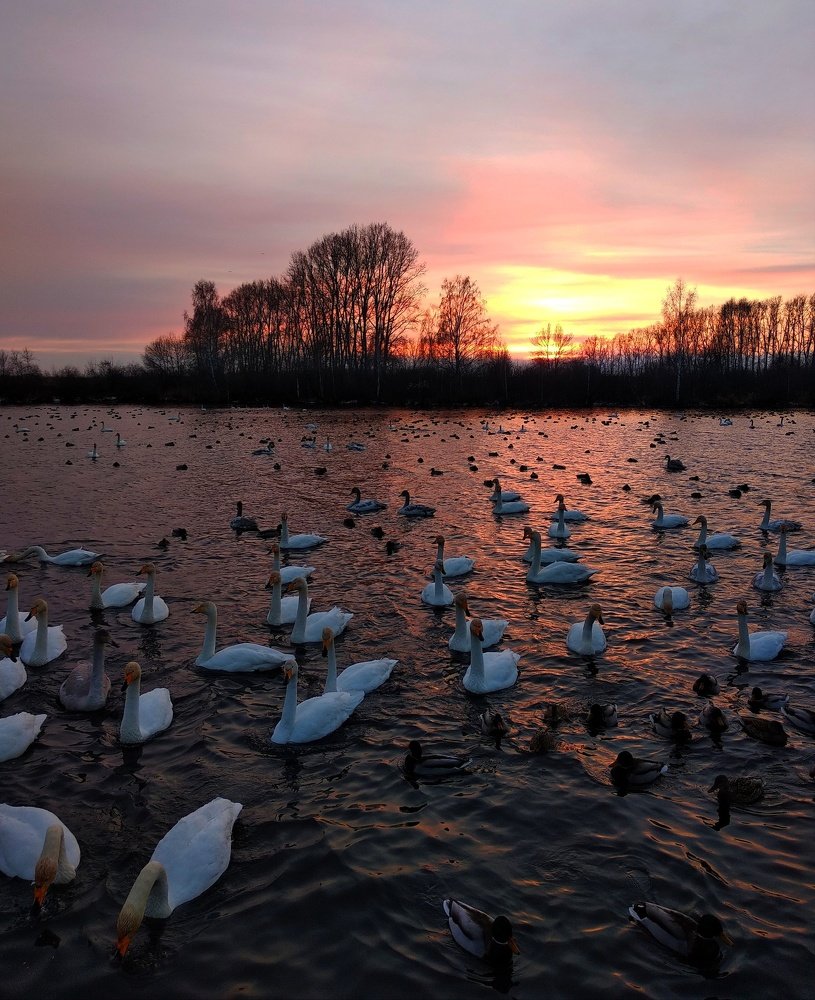 Photograph by Олеся Лосыгина