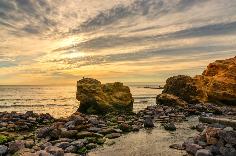 Photograph by Александр Кодак
