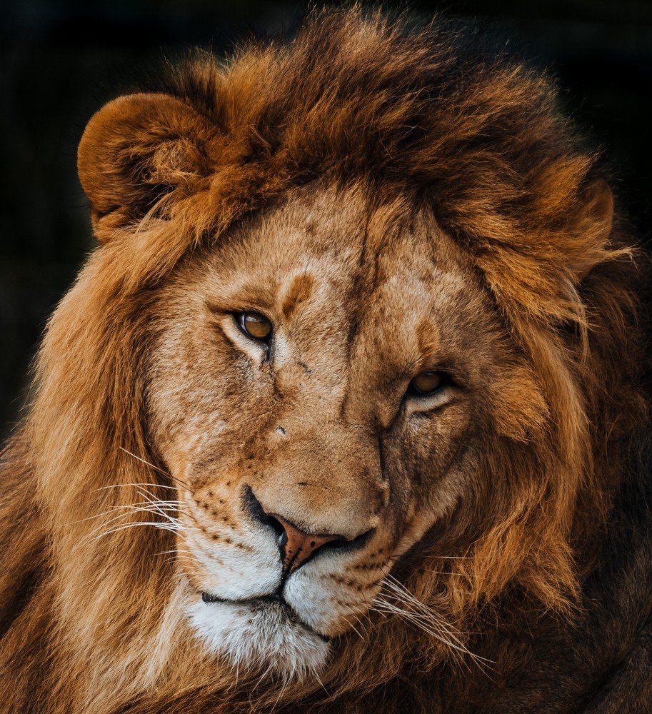 Photograph by Janet Williams