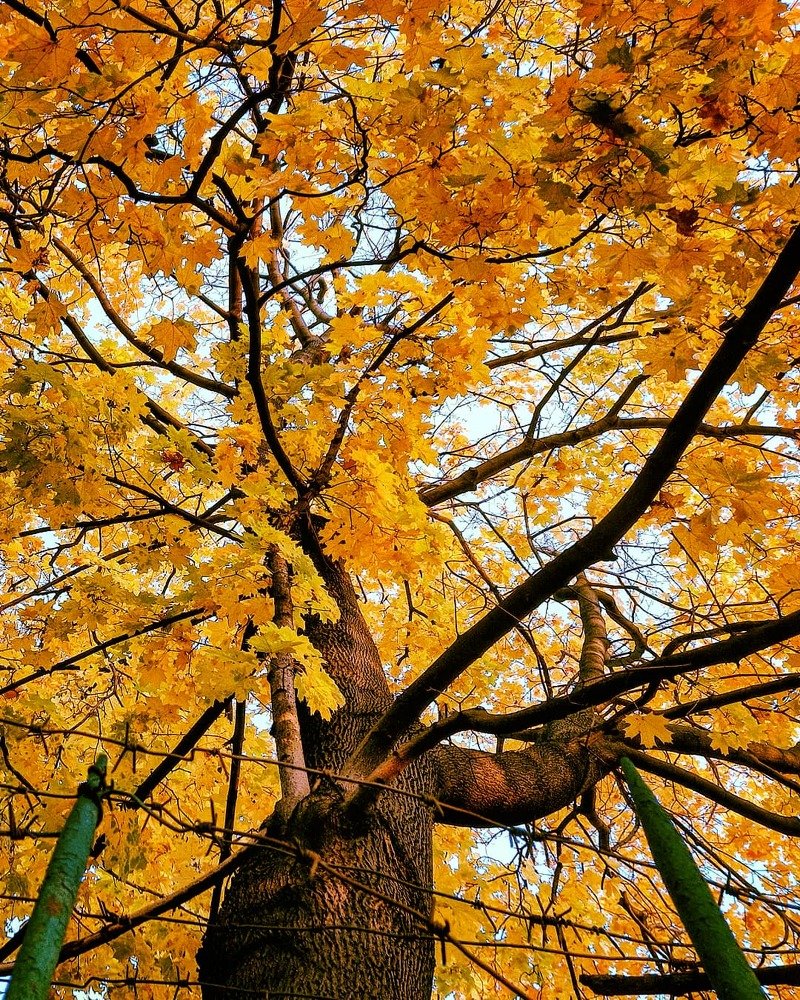 Photograph by Александр Лабутин