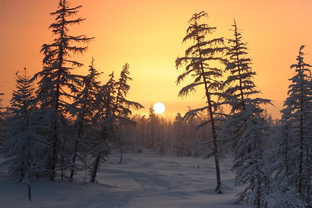 Морозная Арктика